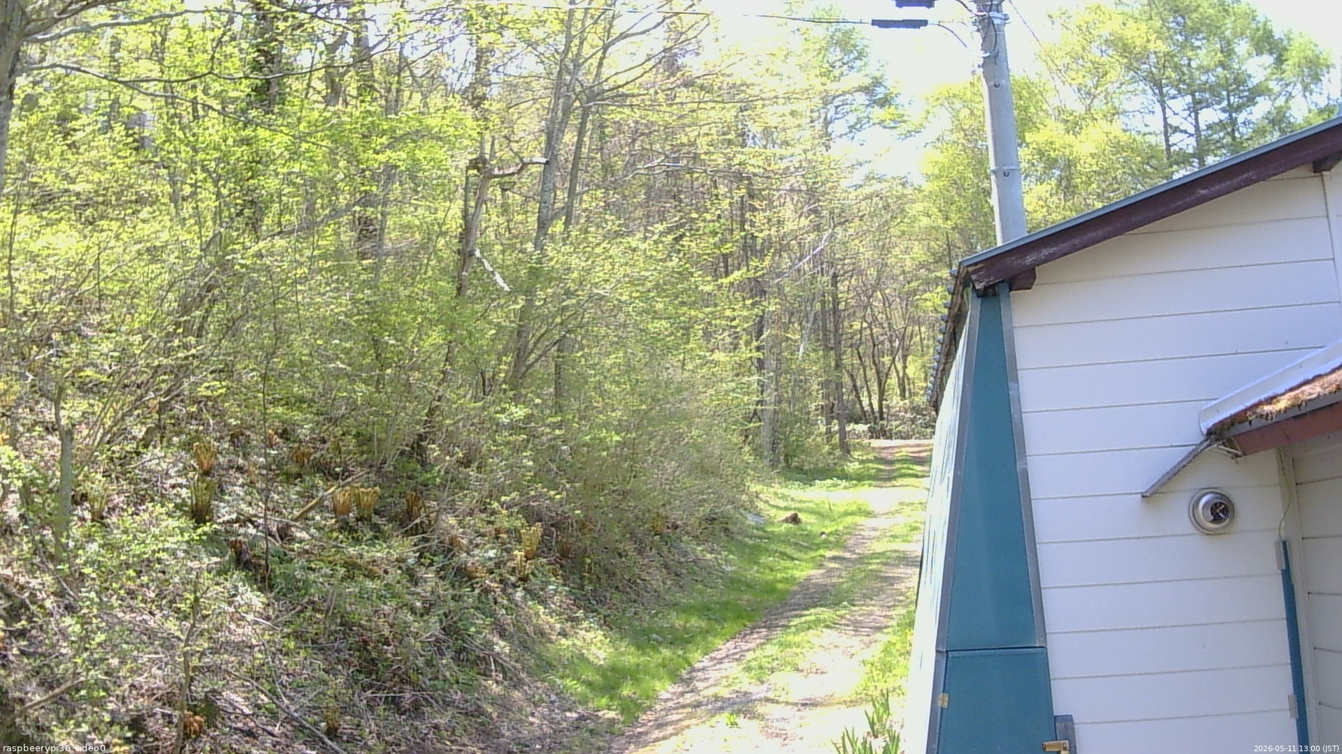 長野県菅平高原 ゆたか山荘 ゆたか山荘 2026/05/11 13:00