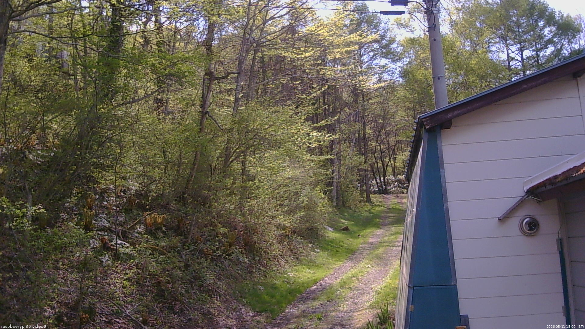 長野県菅平高原 ゆたか山荘 ゆたか山荘 2026/05/11 15:00
