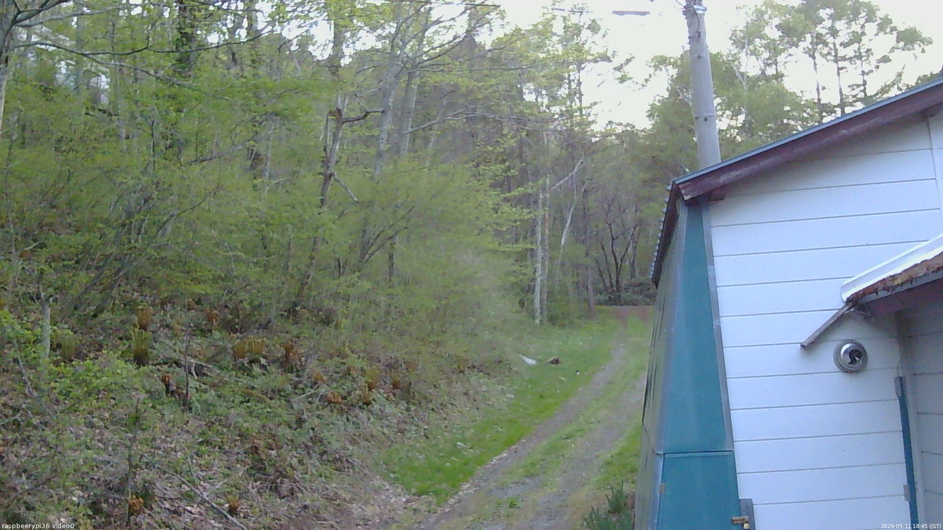 長野県菅平高原 ゆたか山荘 ゆたか山荘 2026/05/11 18:45
