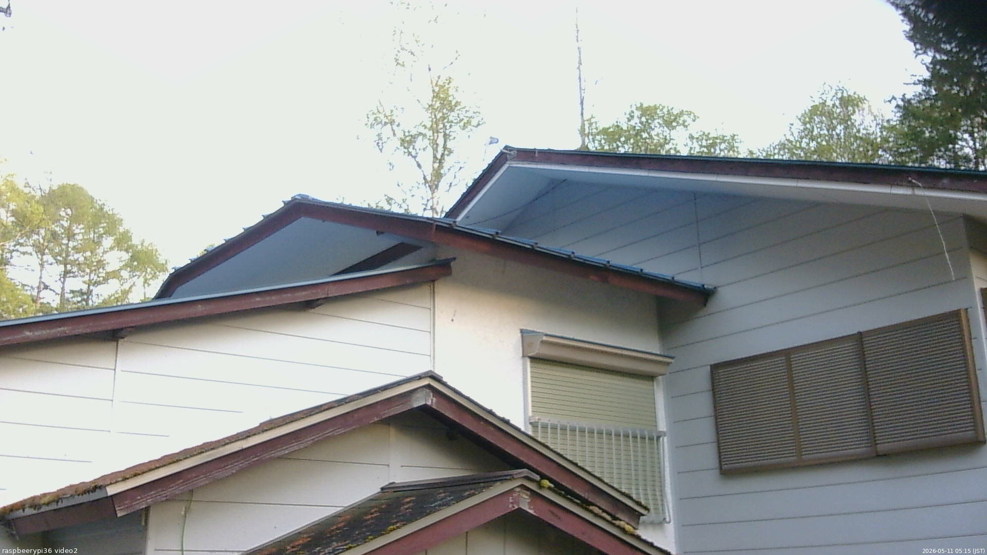 長野県菅平高原 ゆたか山荘 駐車場奥 2026/05/11 05:15