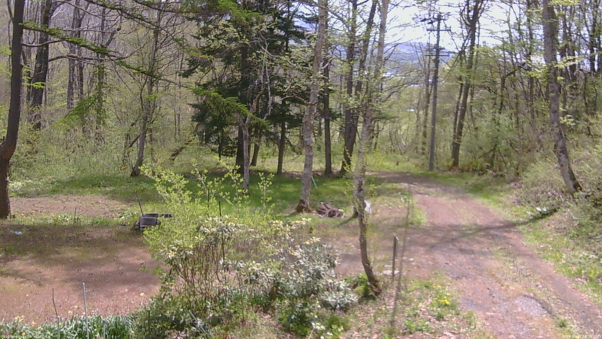 長野県菅平高原 ゆたか山荘 坂上 2026/05/11 10:00