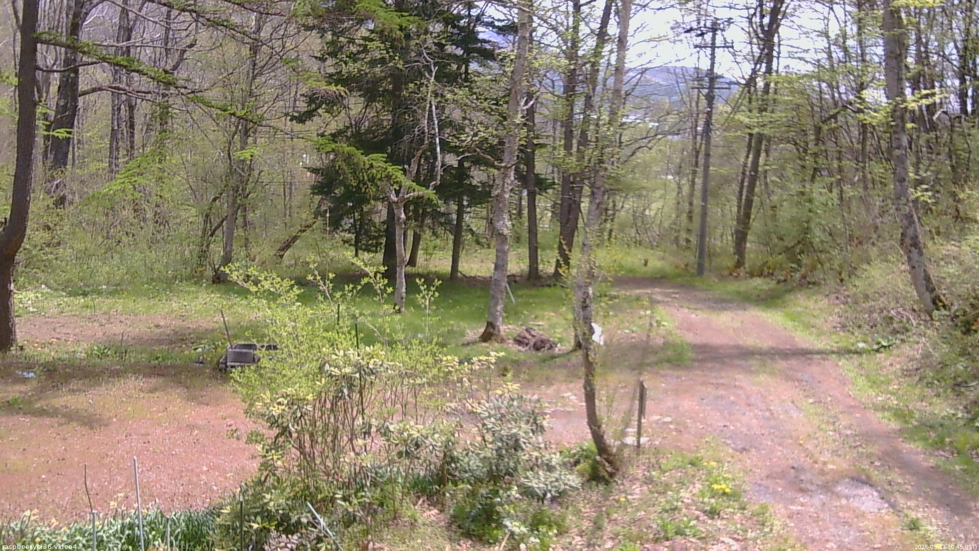 長野県菅平高原 ゆたか山荘 坂上 2026/05/11 10:45