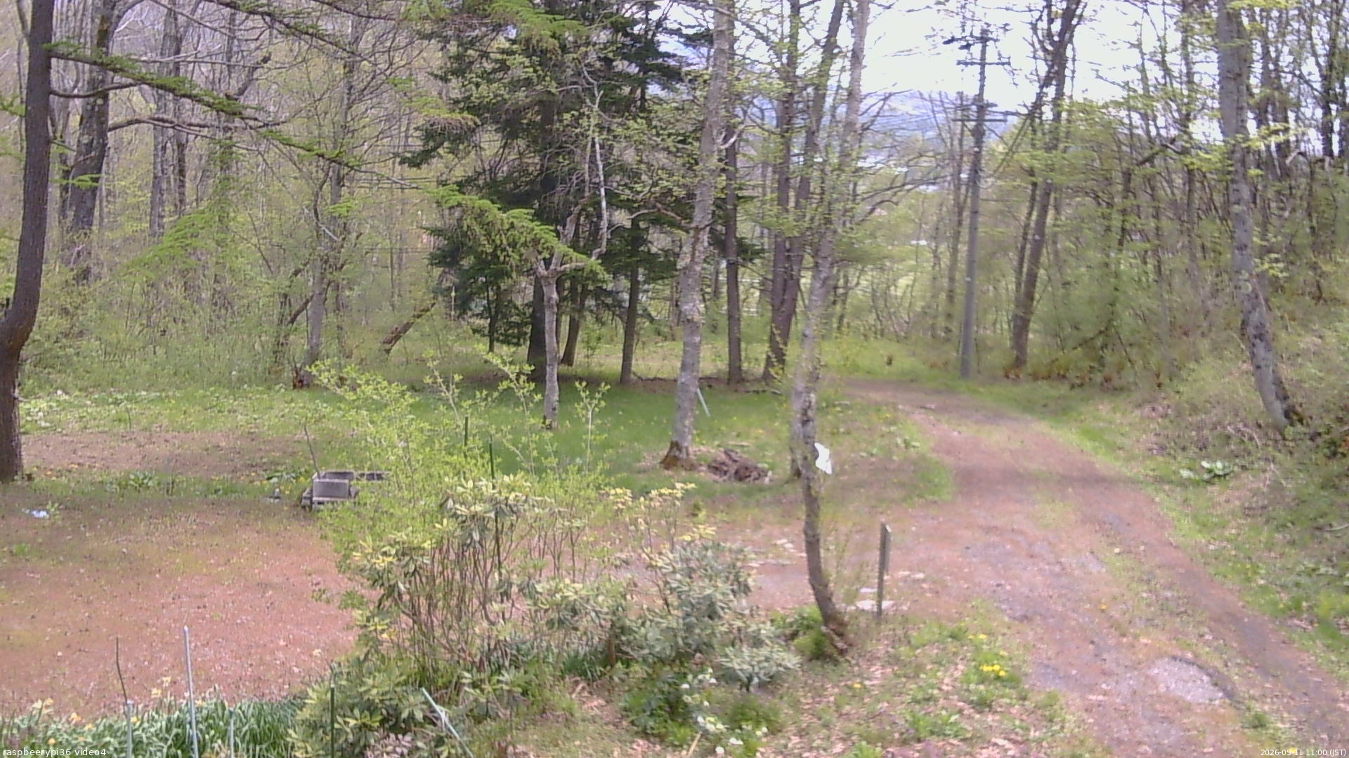 長野県菅平高原 ゆたか山荘 坂上 2026/05/11 11:00