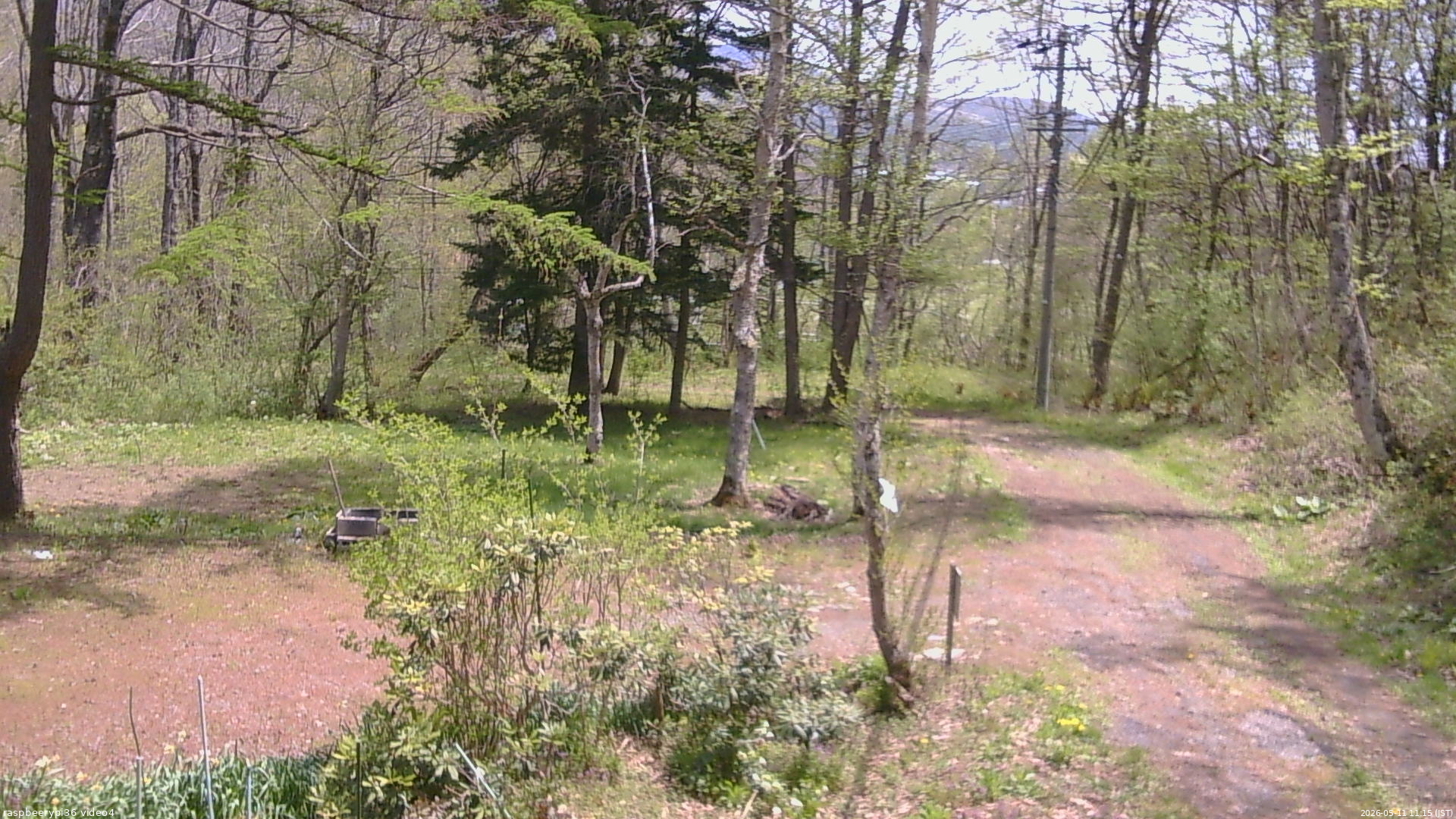 長野県菅平高原 ゆたか山荘 坂上 2026/05/11 11:15