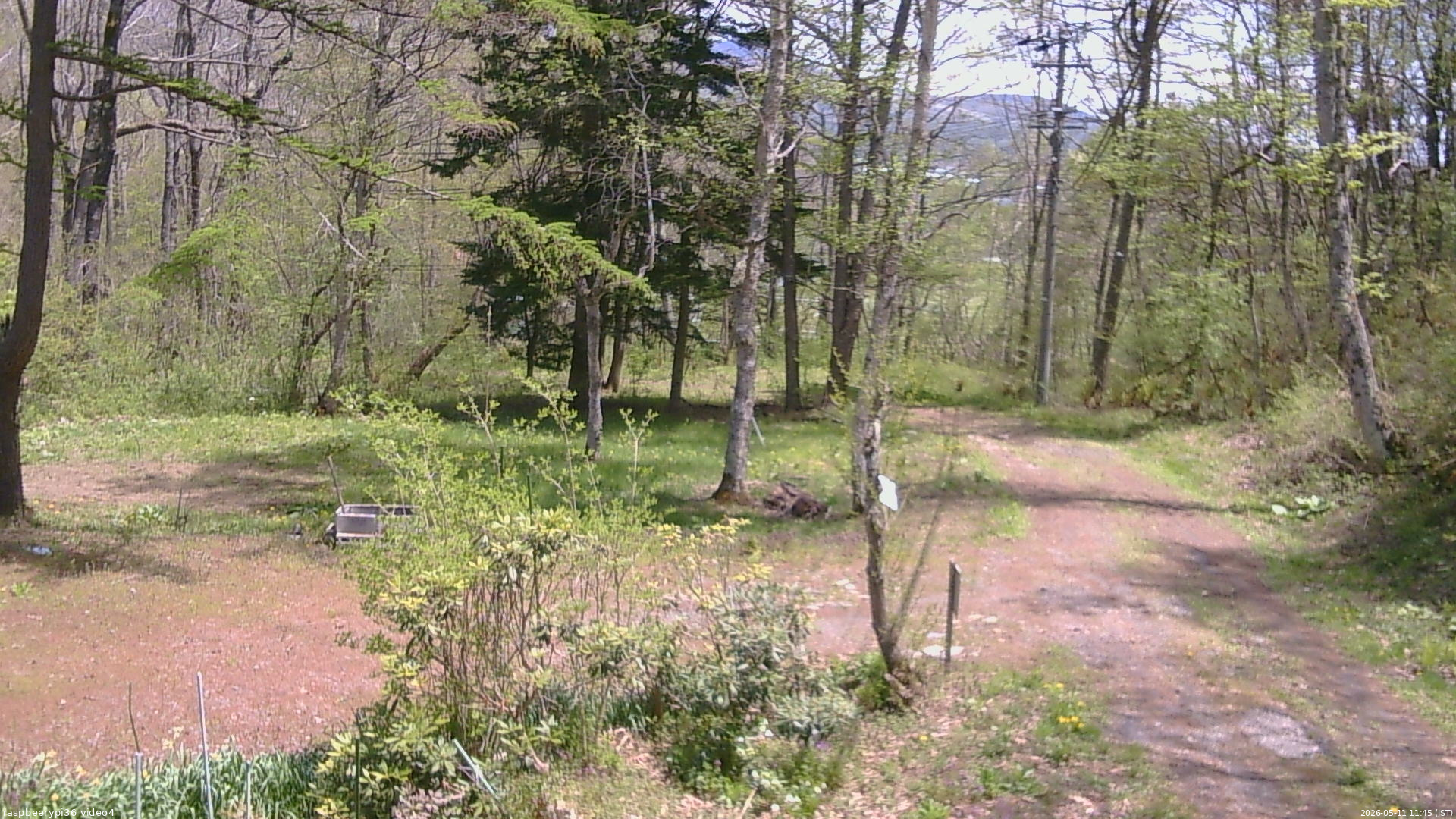 長野県菅平高原 ゆたか山荘 坂上 2026/05/11 11:45