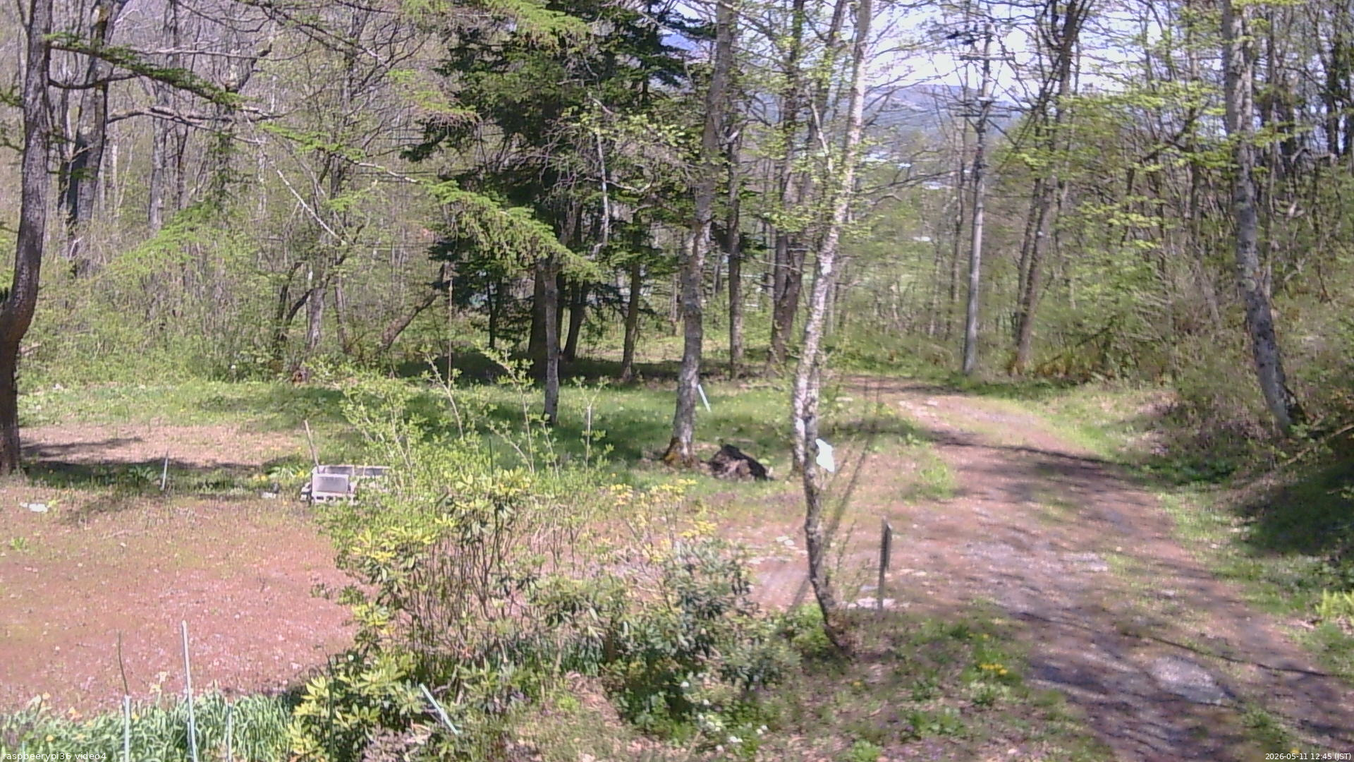 長野県菅平高原 ゆたか山荘 坂上 2026/05/11 12:45