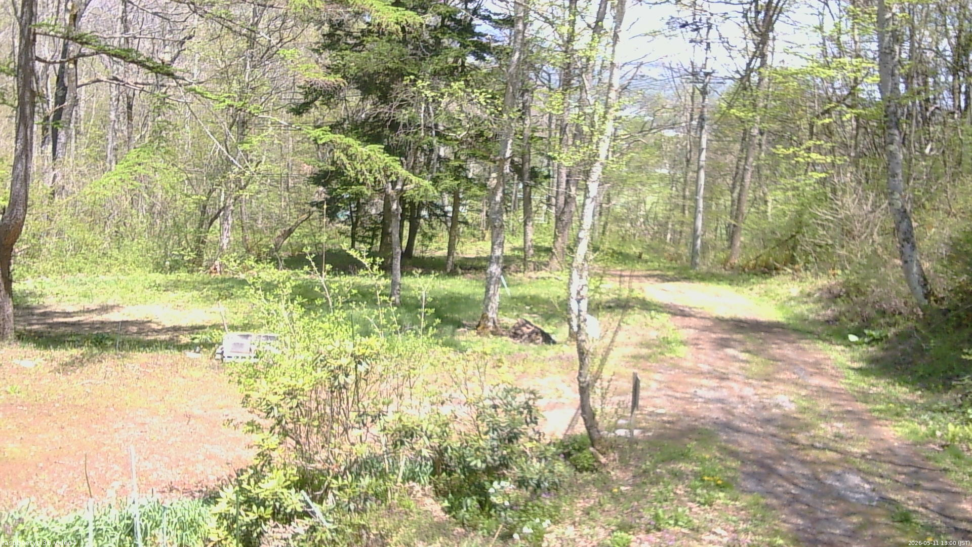 長野県菅平高原 ゆたか山荘 坂上 2026/05/11 13:00