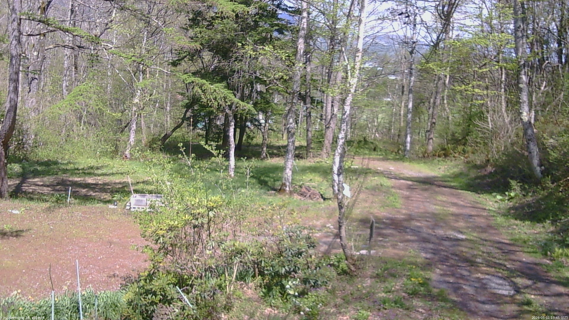 長野県菅平高原 ゆたか山荘 坂上 2026/05/11 13:45