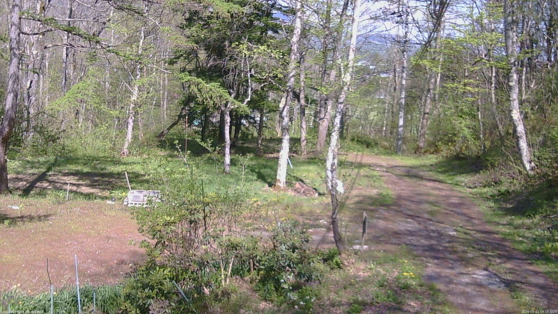 長野県菅平高原 ゆたか山荘 坂上 2026/05/11 14:15