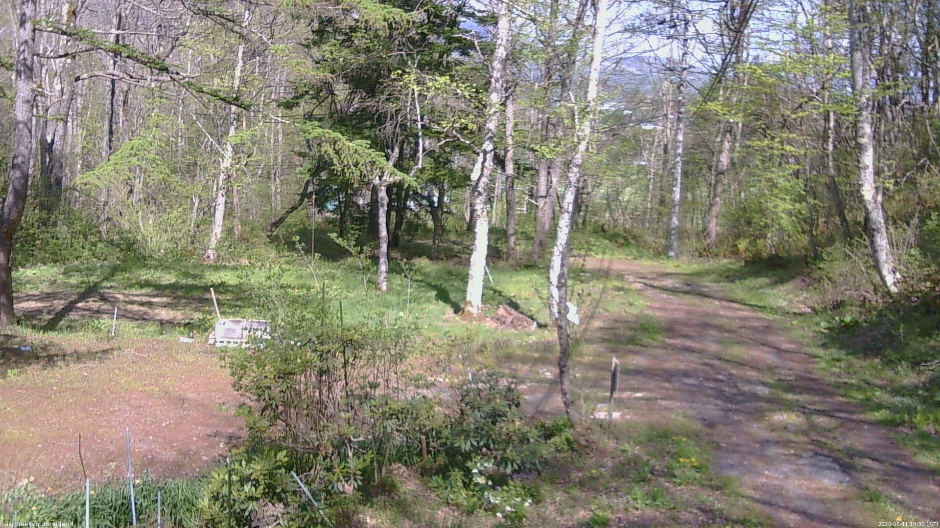 長野県菅平高原 ゆたか山荘 坂上 2026/05/11 14:30
