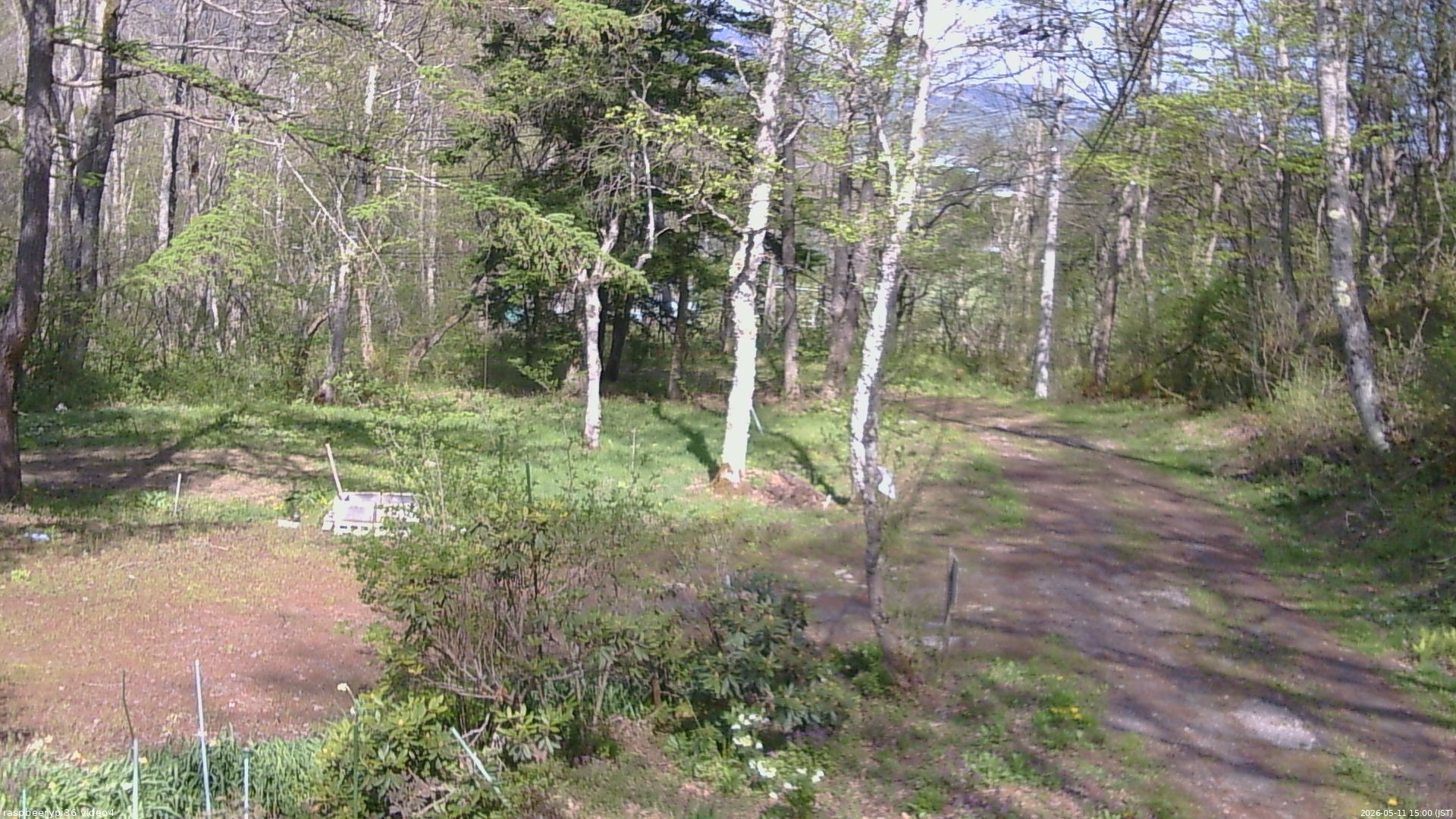 長野県菅平高原 ゆたか山荘 坂上 2026/05/11 15:00