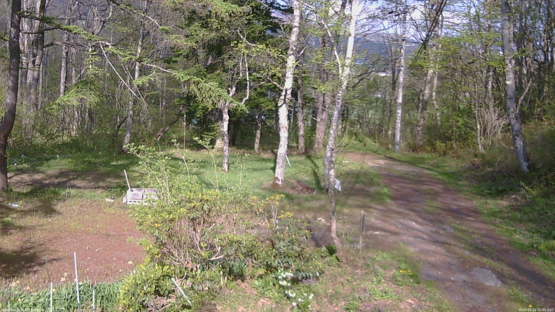 長野県菅平高原 ゆたか山荘 坂上 2026/05/11 15:45