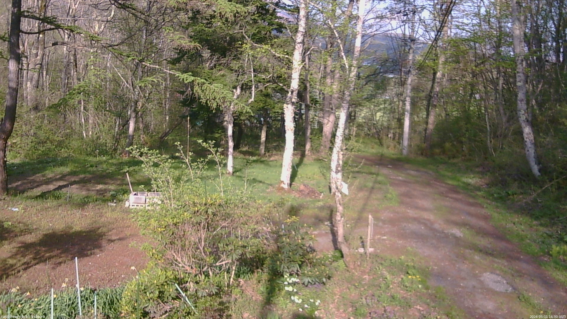 長野県菅平高原 ゆたか山荘 坂上 2026/05/11 16:30