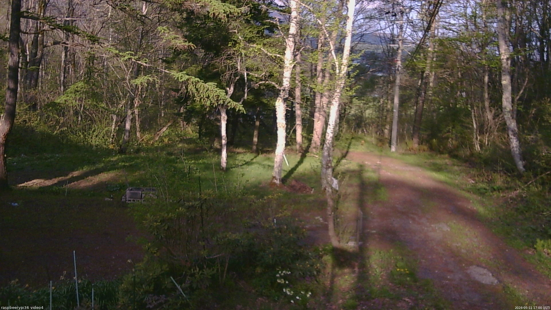 長野県菅平高原 ゆたか山荘 坂上 2026/05/11 17:00