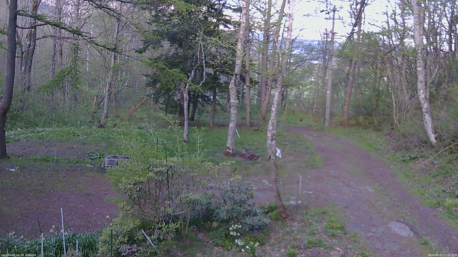 長野県菅平高原 ゆたか山荘 坂上 2026/05/11 17:15