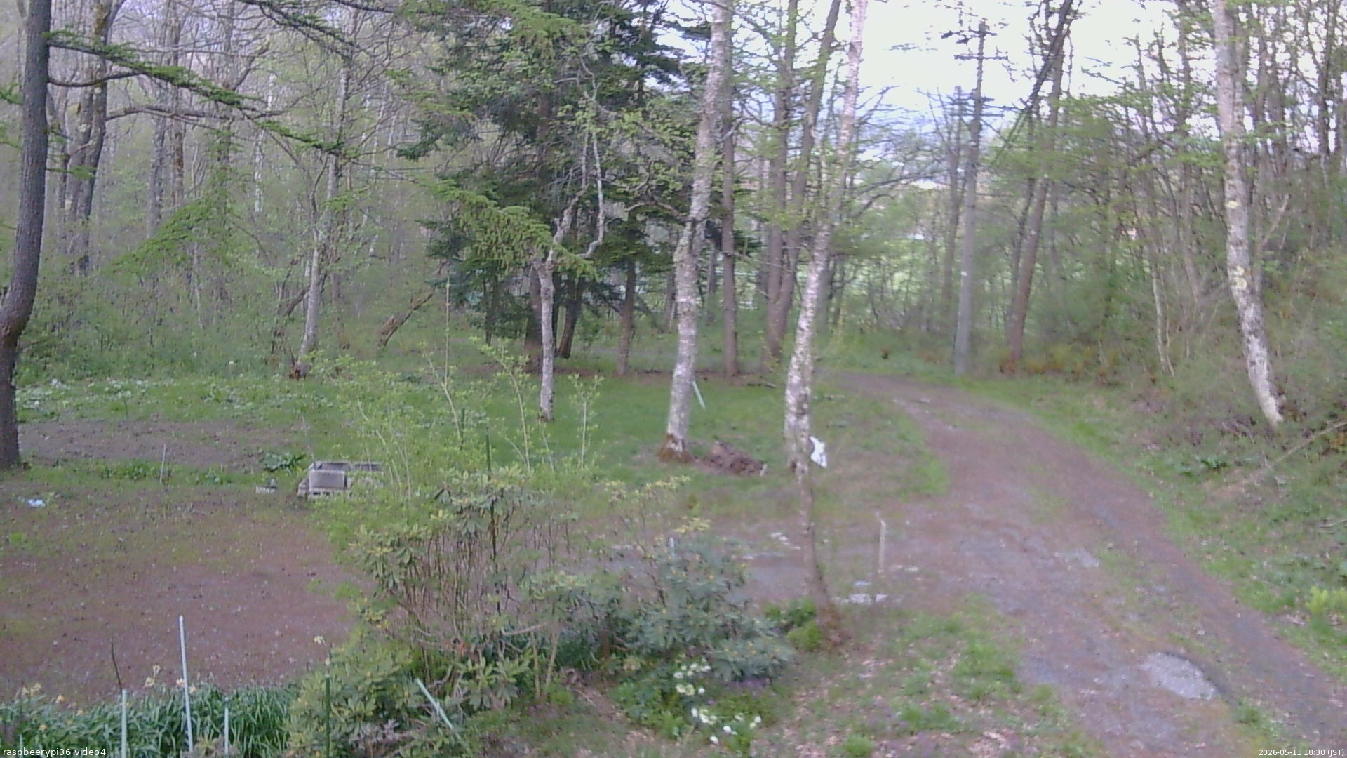 長野県菅平高原 ゆたか山荘 坂上 2026/05/11 18:30