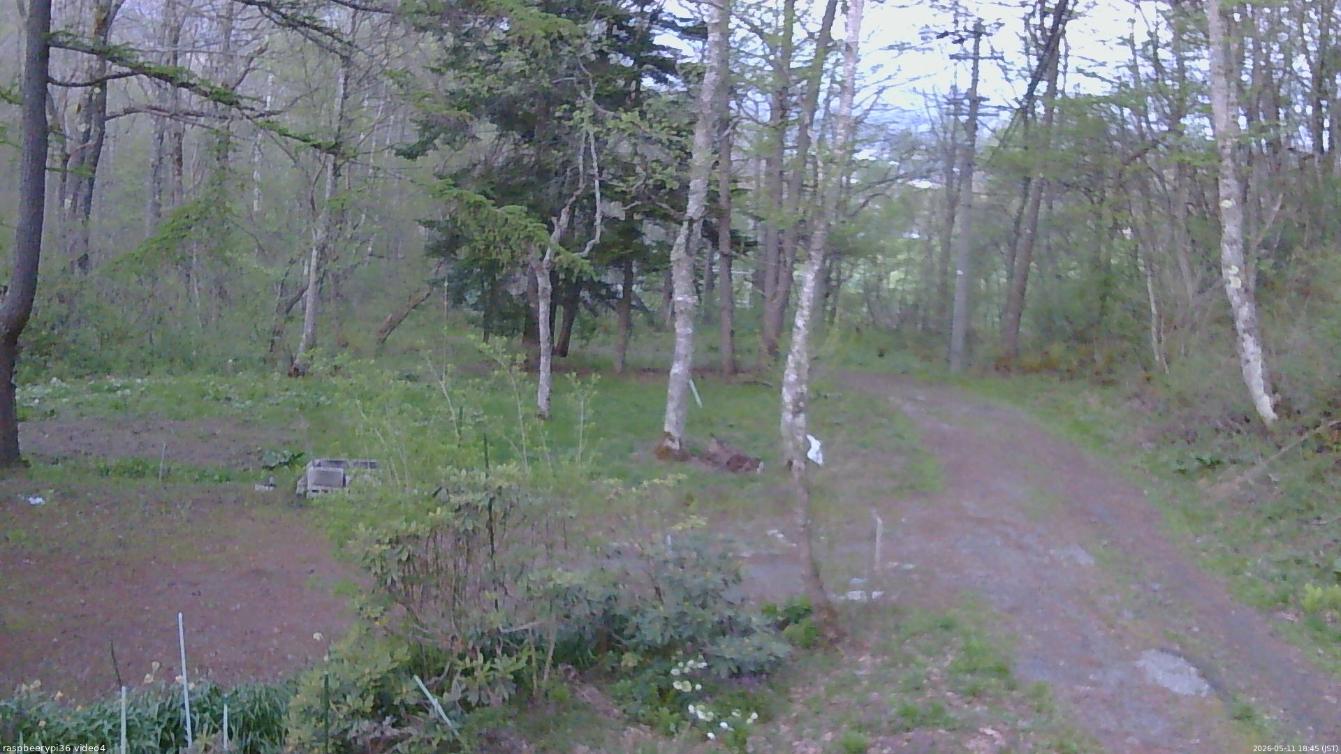 長野県菅平高原 ゆたか山荘 坂上 2026/05/11 18:45