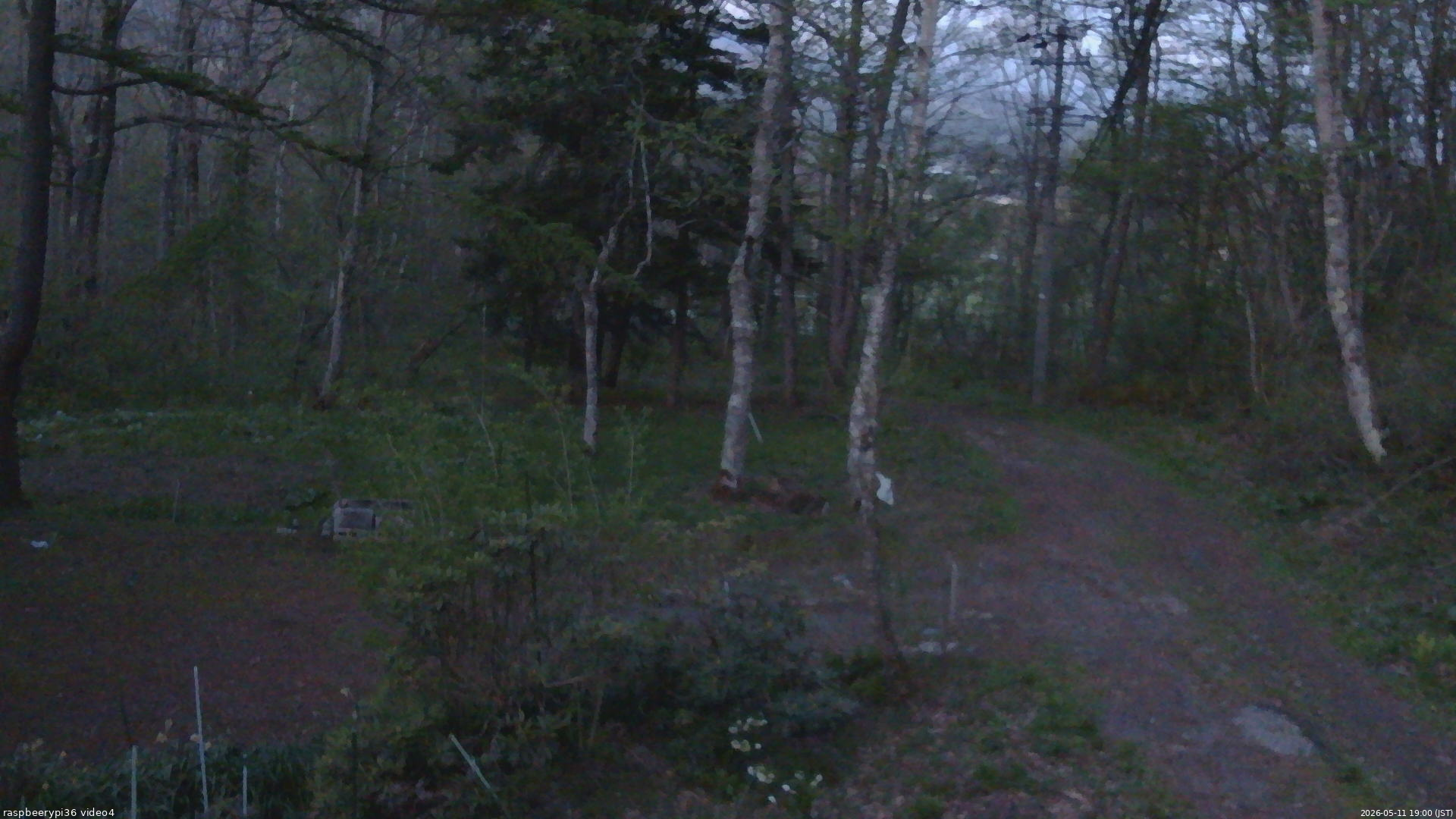 長野県菅平高原 ゆたか山荘 坂上 2026/05/11 19:00