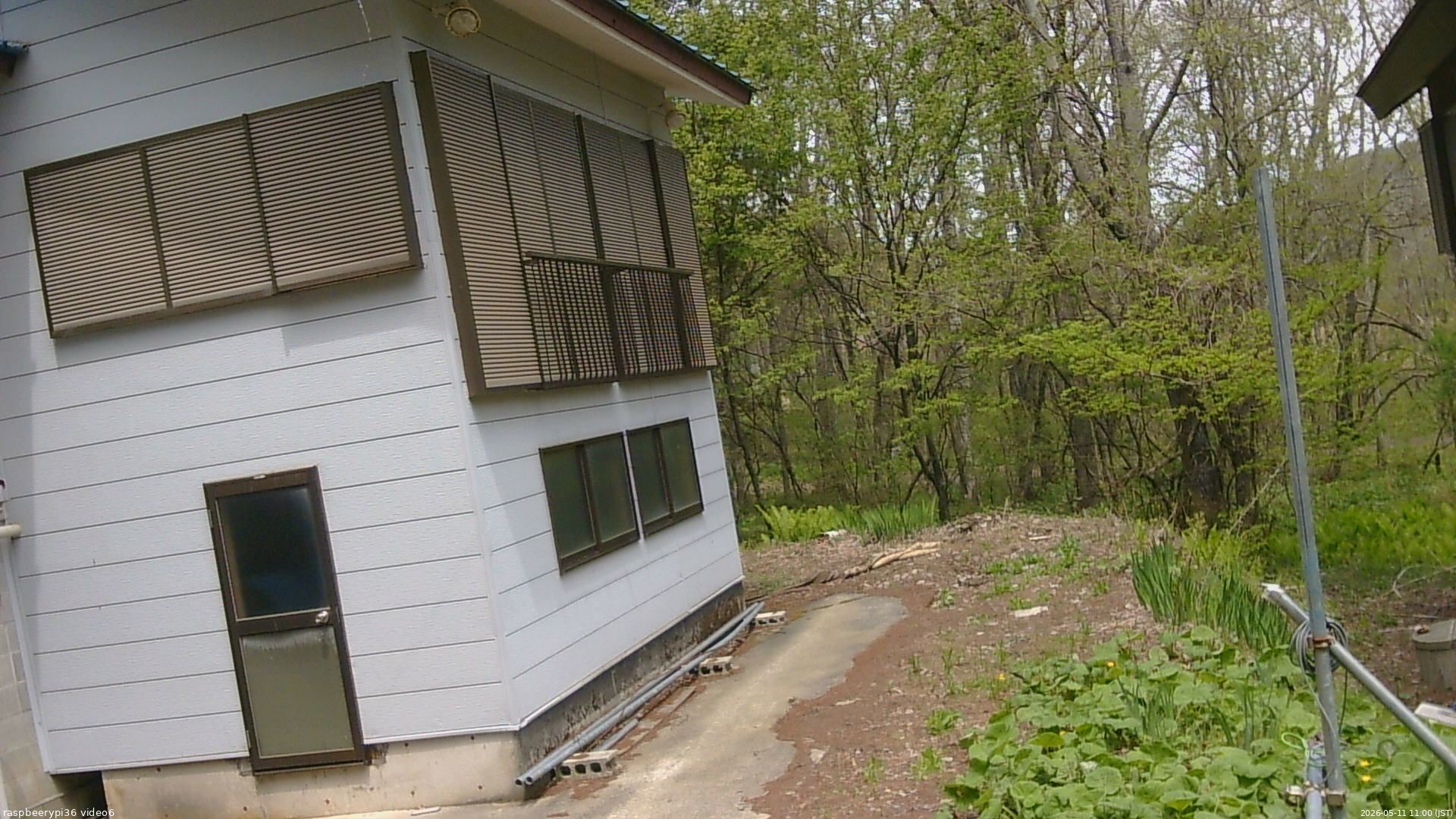 長野県菅平高原 ゆたか山荘 坂下 2026/05/11 11:00