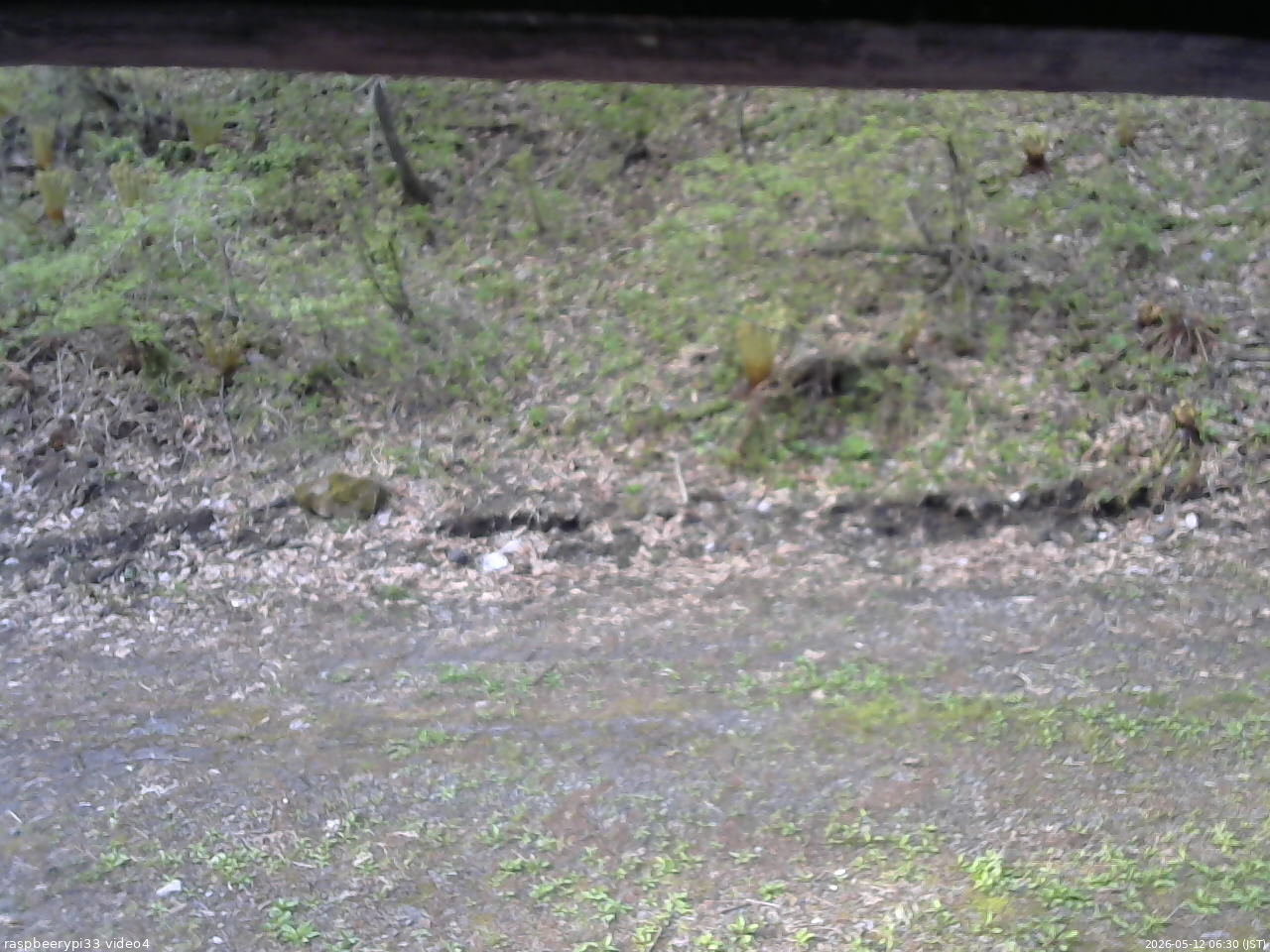 長野県菅平高原 ゆたか山荘 東側(坂下) 2026/05/12 06:30