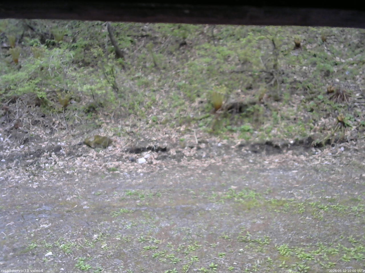 長野県菅平高原 ゆたか山荘 東側(坂下) 2026/05/12 10:00