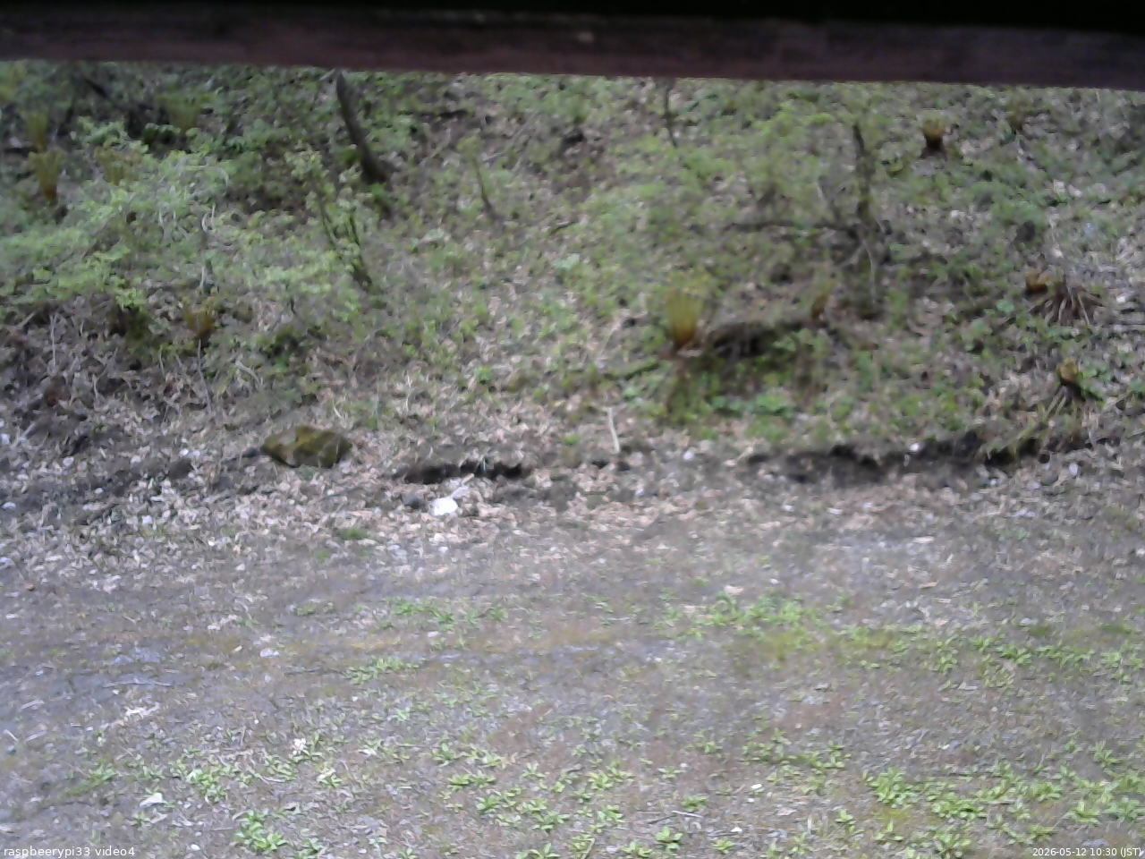 長野県菅平高原 ゆたか山荘 東側(坂下) 2026/05/12 10:30