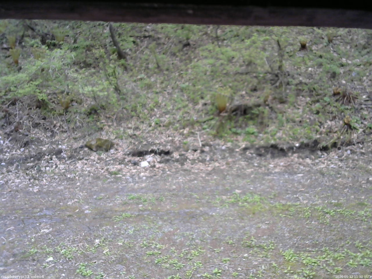 長野県菅平高原 ゆたか山荘 東側(坂下) 2026/05/12 11:30