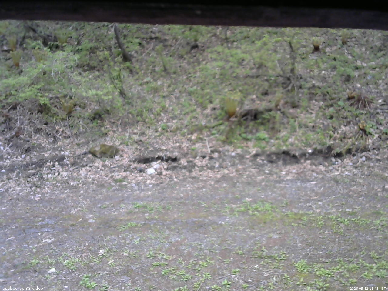 長野県菅平高原 ゆたか山荘 東側(坂下) 2026/05/12 11:45