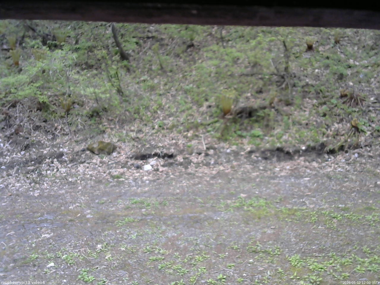 長野県菅平高原 ゆたか山荘 東側(坂下) 2026/05/12 12:00