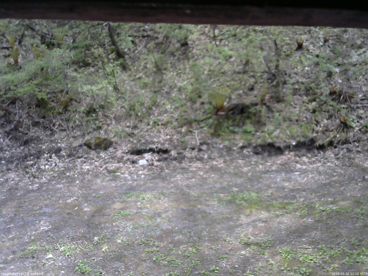 長野県菅平高原 ゆたか山荘 東側(坂下) 2026/05/12 12:15