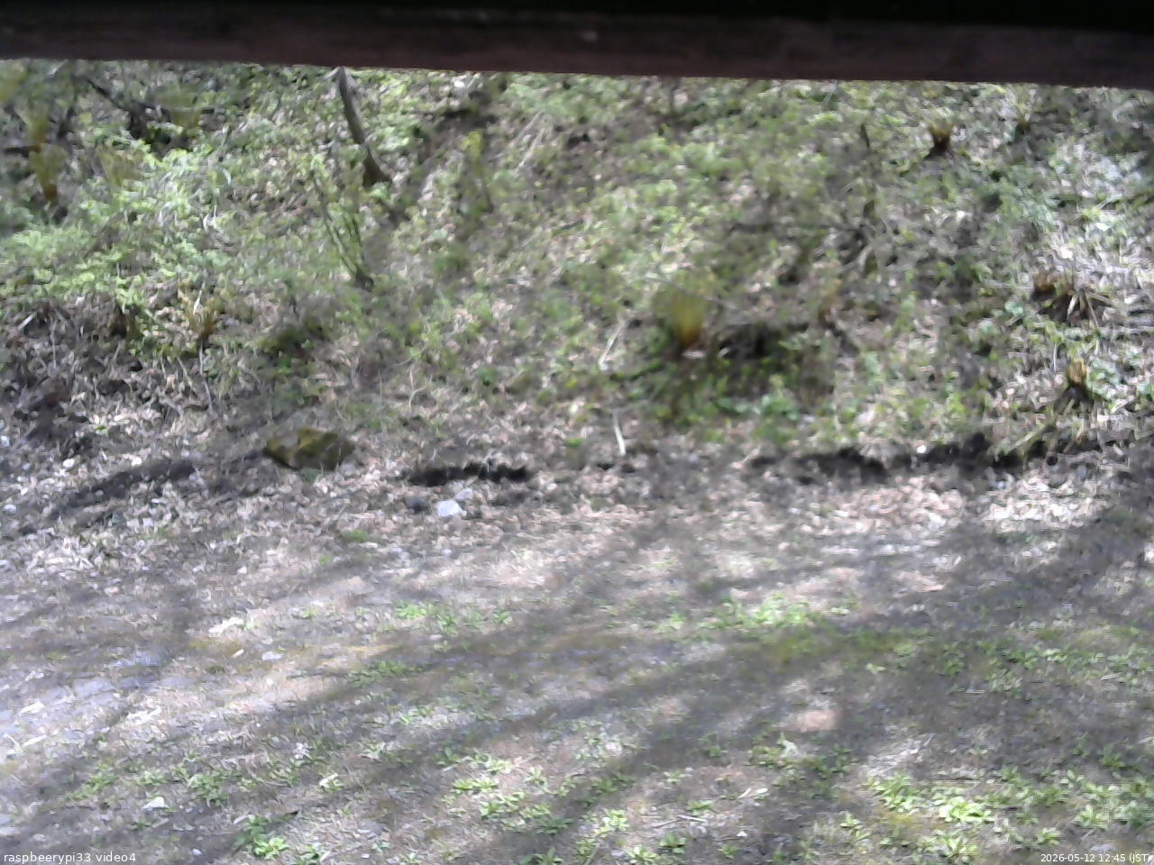 長野県菅平高原 ゆたか山荘 東側(坂下) 2026/05/12 12:45