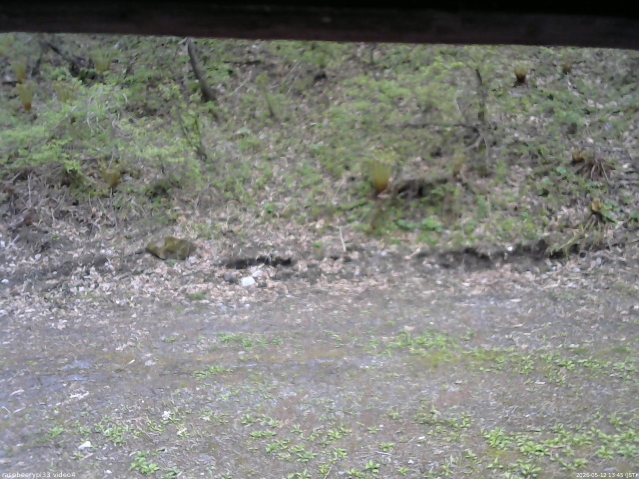 長野県菅平高原 ゆたか山荘 東側(坂下) 2026/05/12 13:45