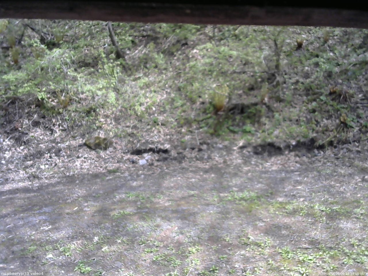 長野県菅平高原 ゆたか山荘 東側(坂下) 2026/05/12 14:15