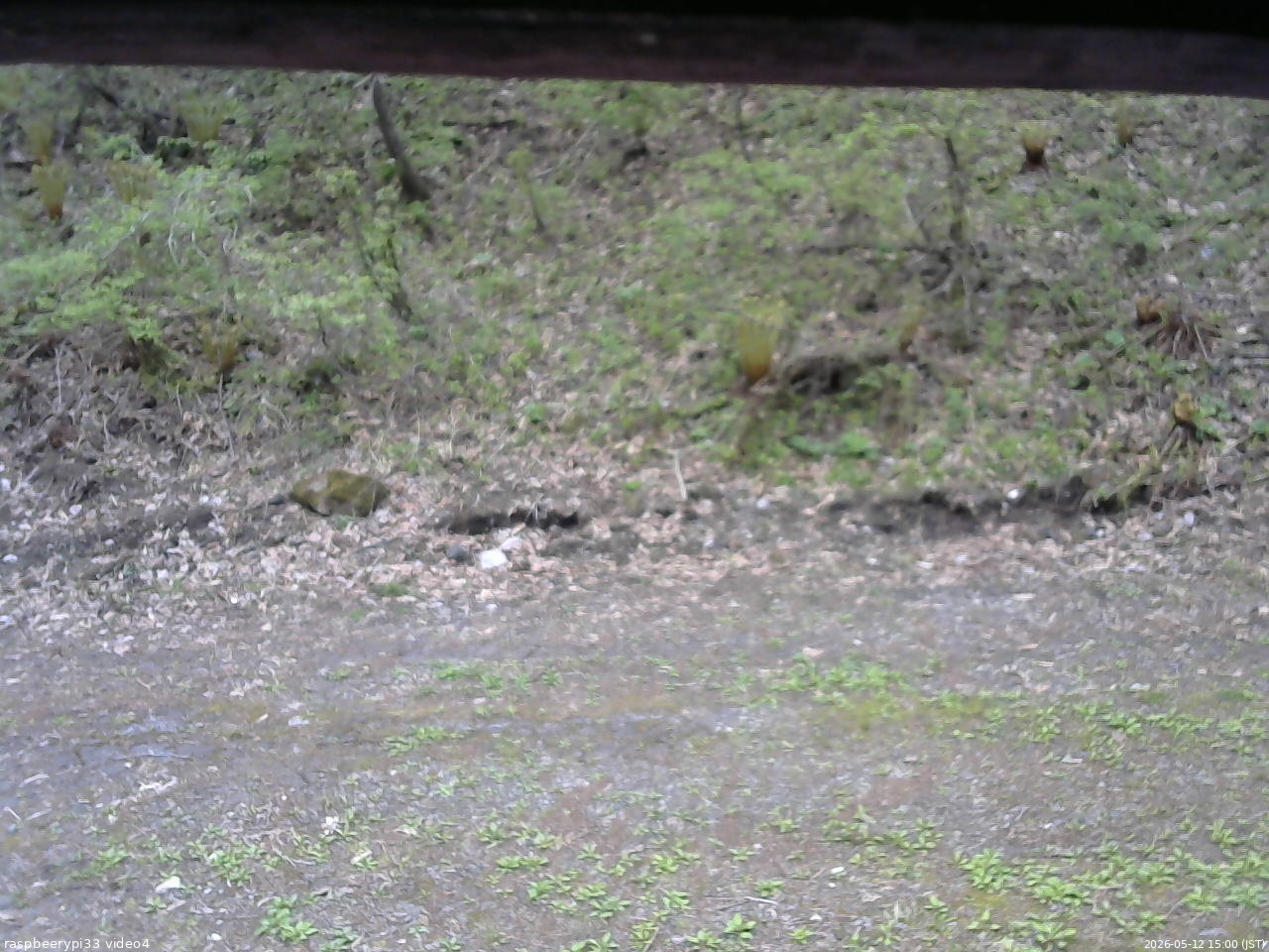 長野県菅平高原 ゆたか山荘 東側(坂下) 2026/05/12 15:00