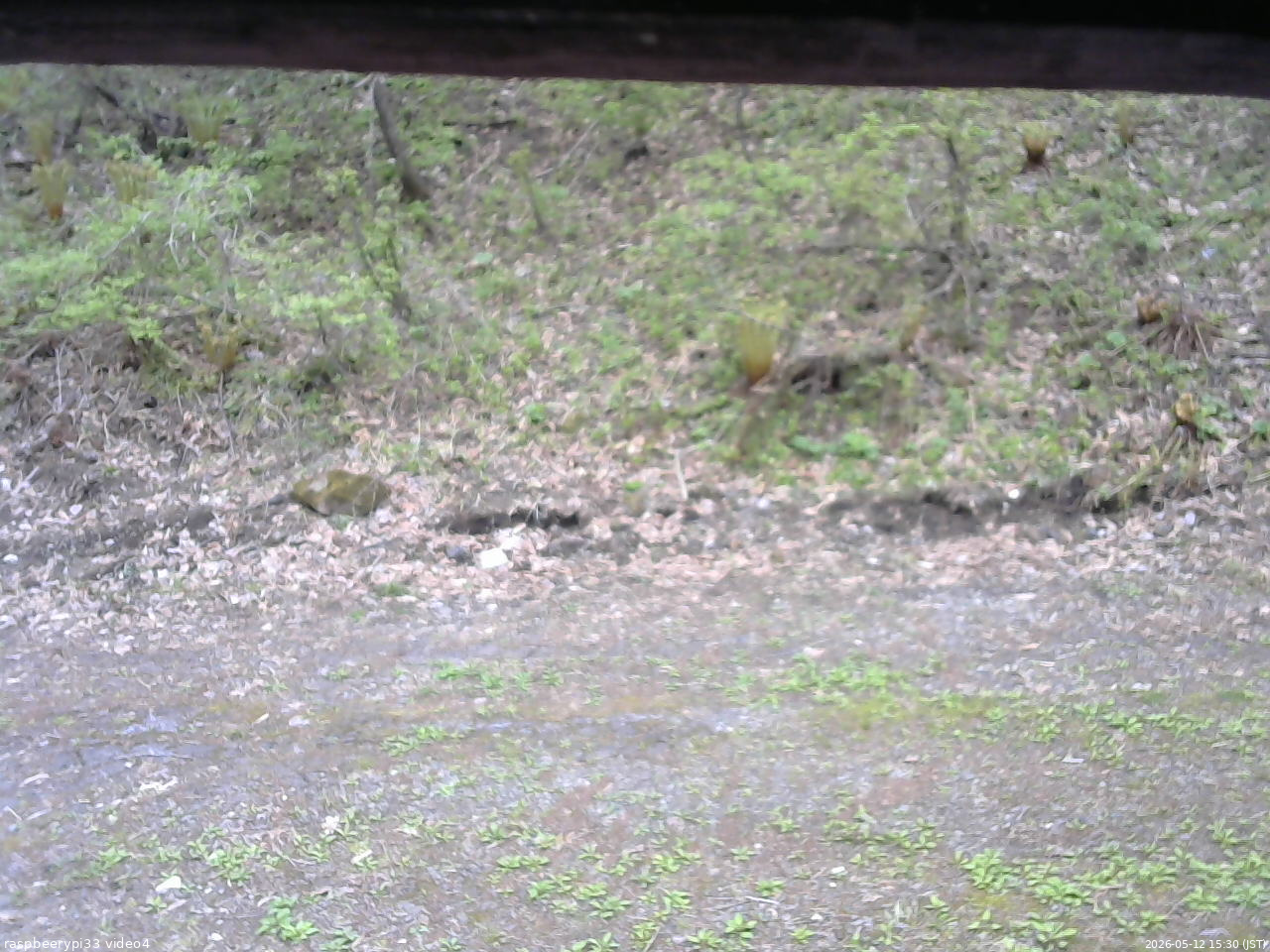 長野県菅平高原 ゆたか山荘 東側(坂下) 2026/05/12 15:30
