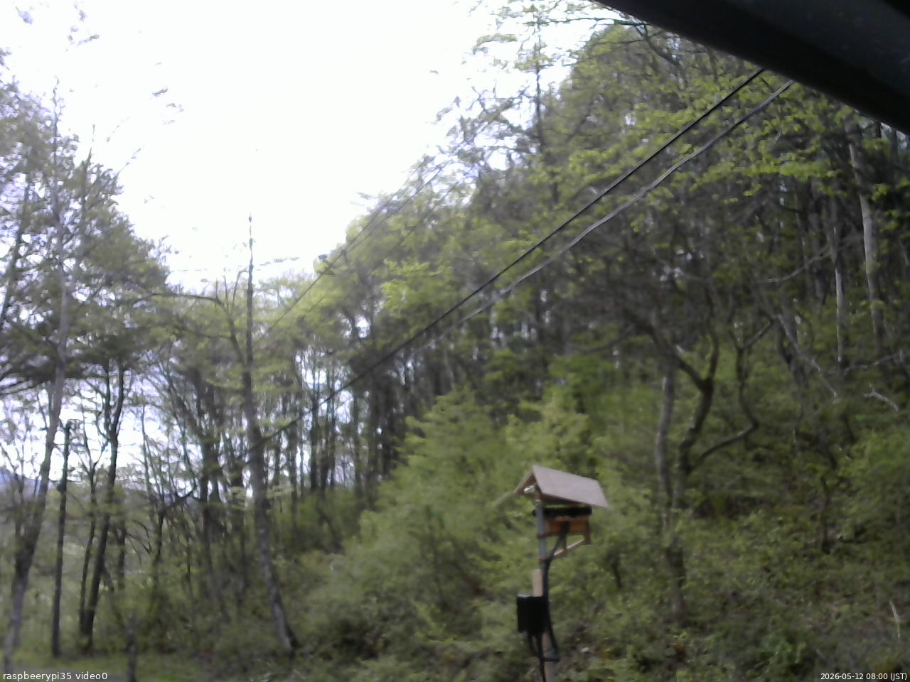 長野県菅平高原 ゆたか山荘 温度計 2026/05/12 08:00