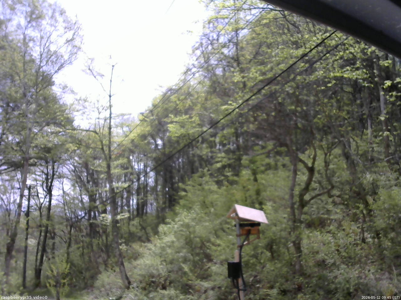 長野県菅平高原 ゆたか山荘 温度計 2026/05/12 09:45