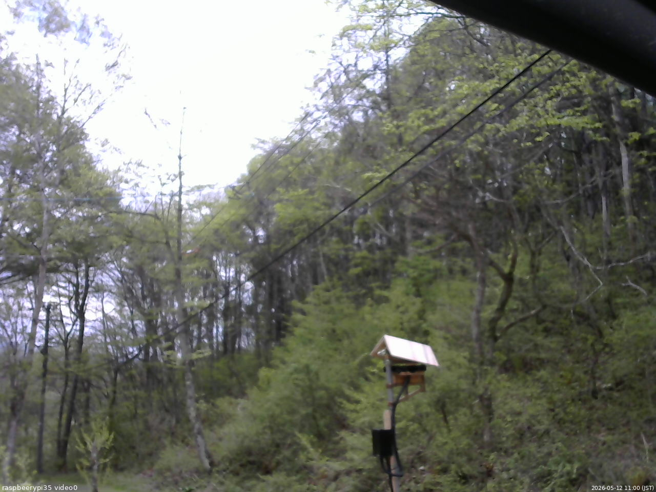 長野県菅平高原 ゆたか山荘 温度計 2026/05/12 11:00