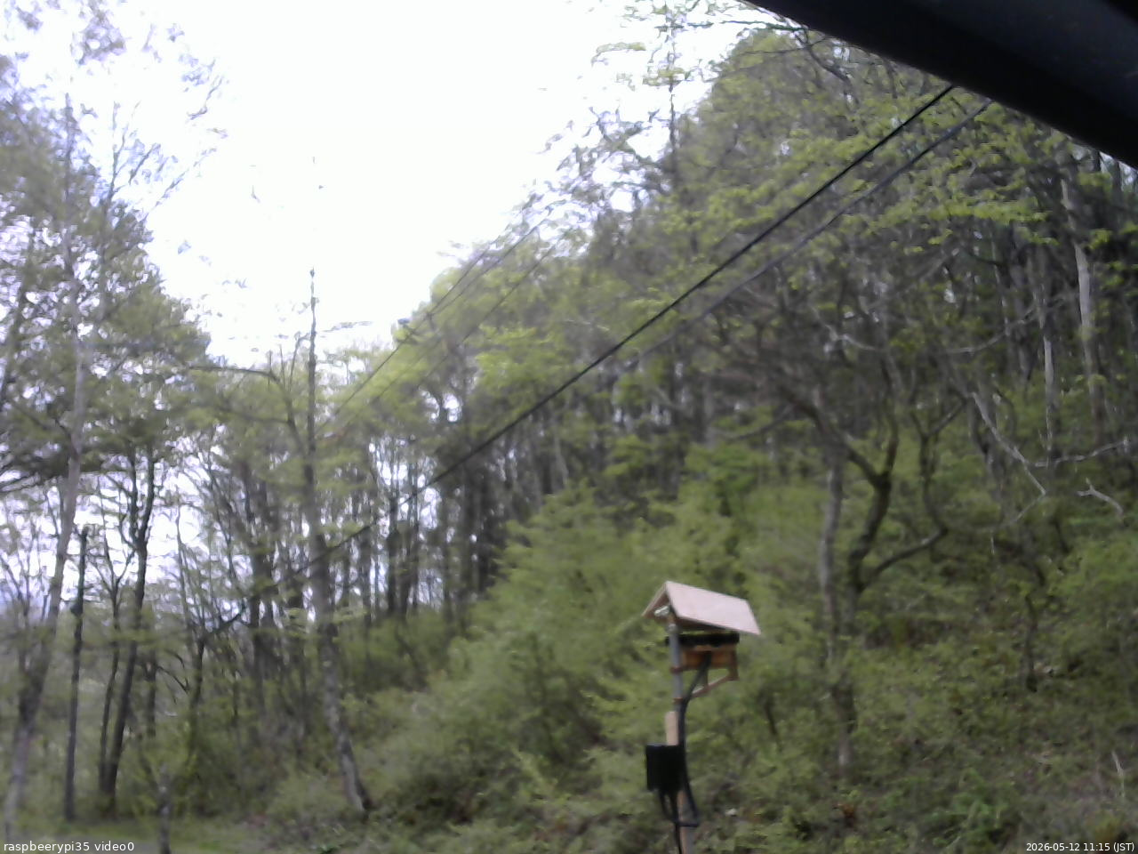 長野県菅平高原 ゆたか山荘 温度計 2026/05/12 11:15