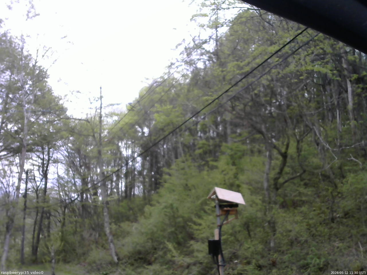 長野県菅平高原 ゆたか山荘 温度計 2026/05/12 11:30