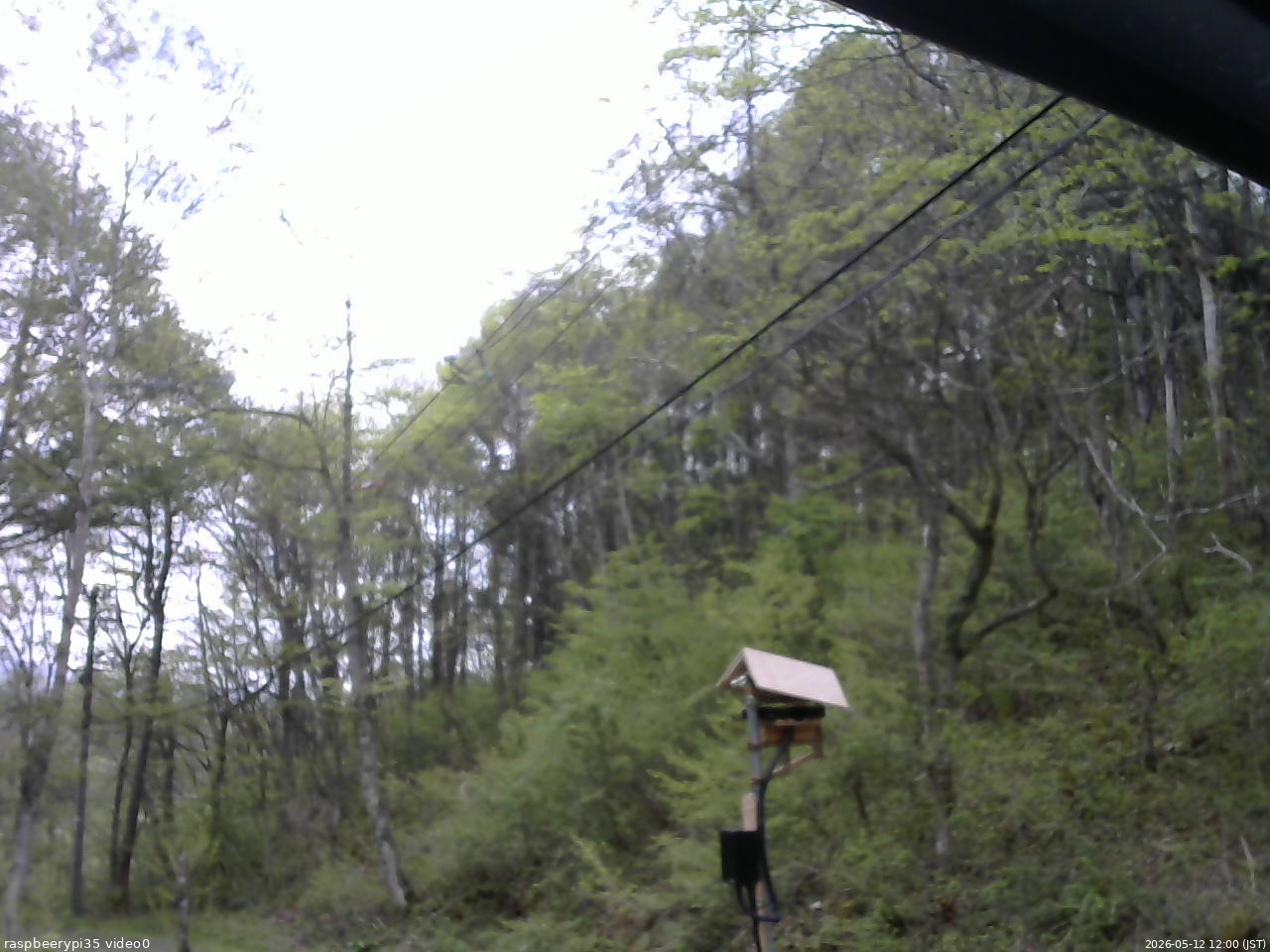 長野県菅平高原 ゆたか山荘 温度計 2026/05/12 12:00