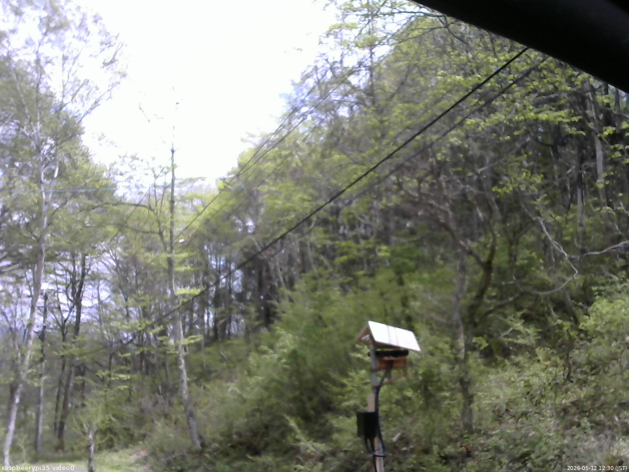 長野県菅平高原 ゆたか山荘 温度計 2026/05/12 12:30