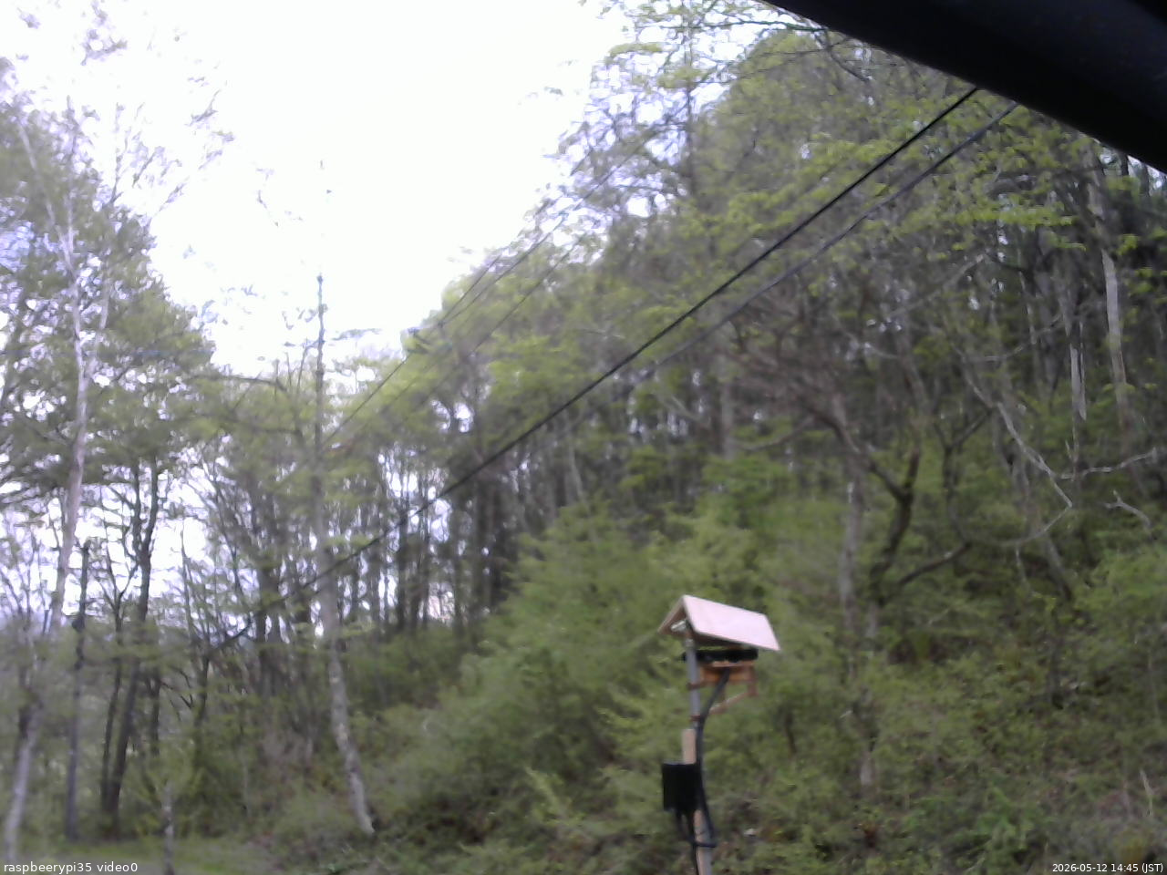 長野県菅平高原 ゆたか山荘 温度計 2026/05/12 14:45