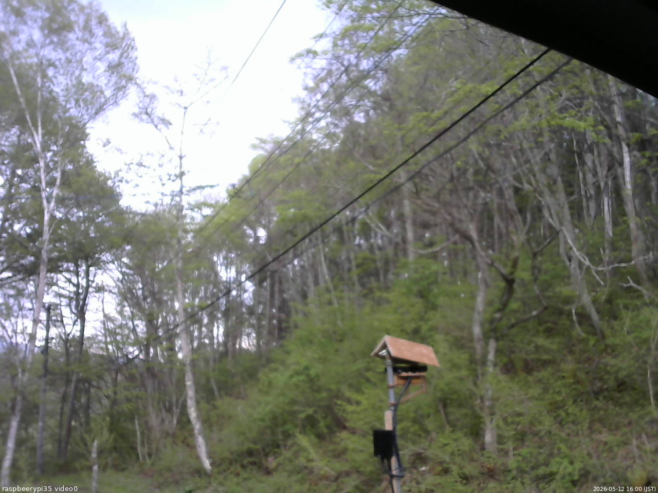 長野県菅平高原 ゆたか山荘 温度計 2026/05/12 16:00