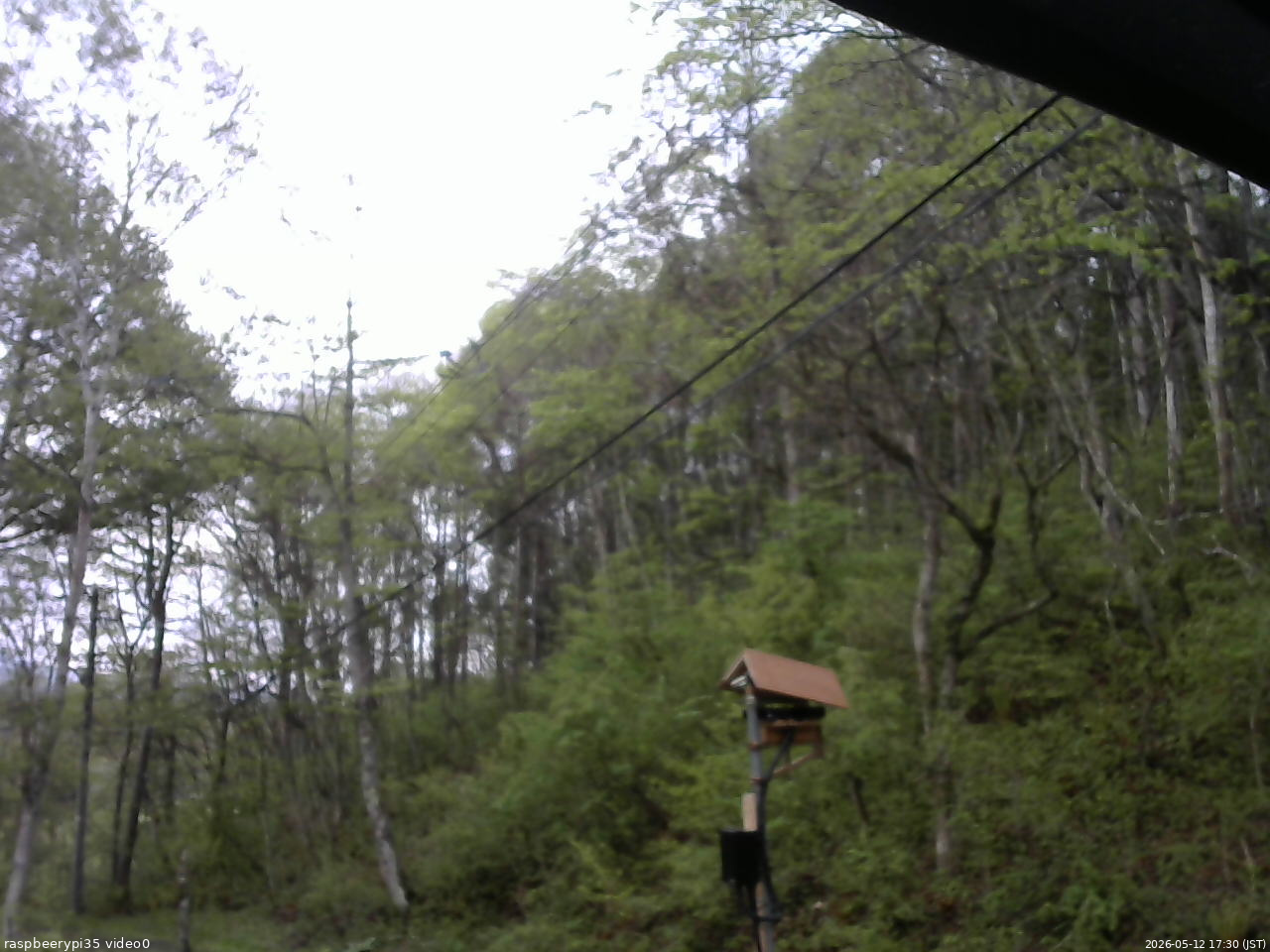 長野県菅平高原 ゆたか山荘 温度計 2026/05/12 17:30