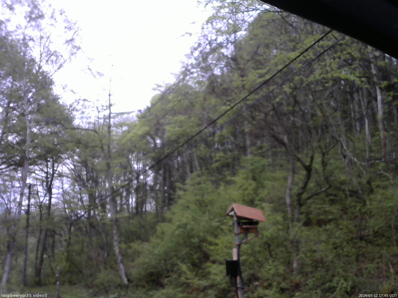 長野県菅平高原 ゆたか山荘 温度計 2026/05/12 17:45