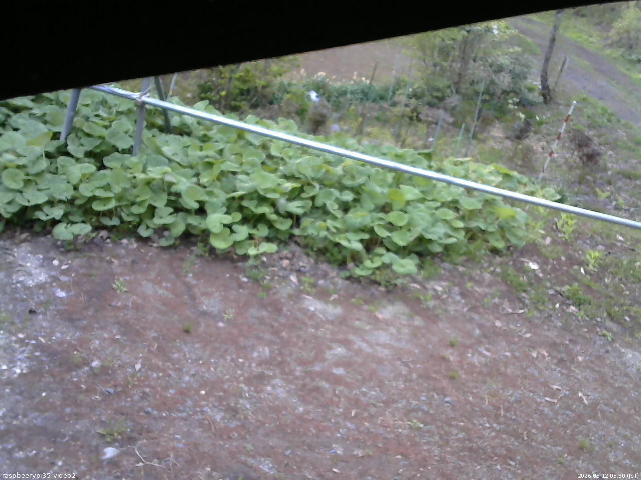 長野県菅平高原 ゆたか山荘 駐車場 2026/05/12 05:30