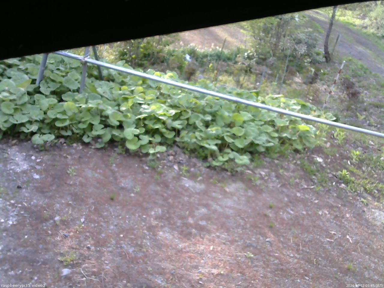 長野県菅平高原 ゆたか山荘 駐車場 2026/05/12 05:45