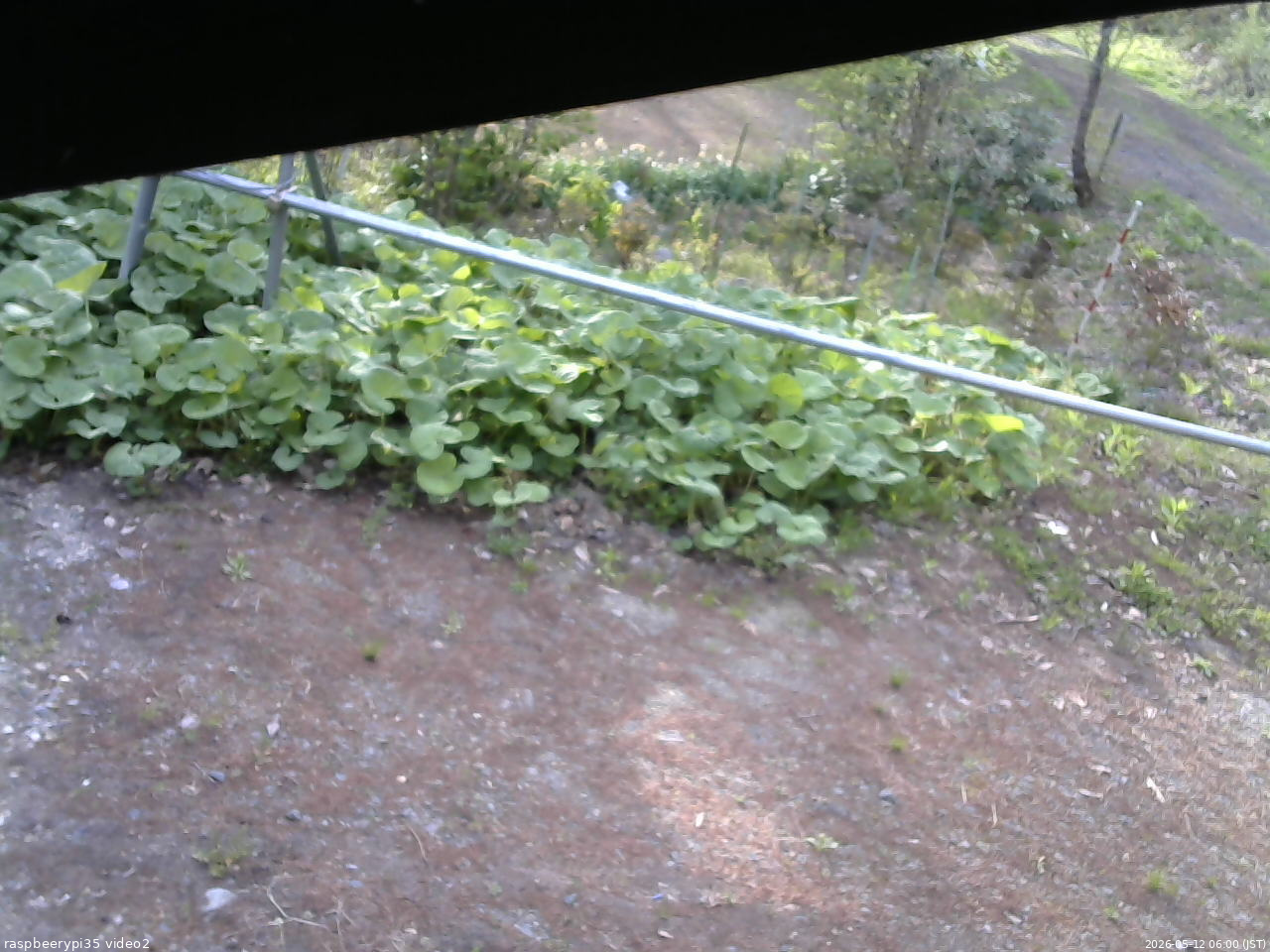 長野県菅平高原 ゆたか山荘 駐車場 2026/05/12 06:00
