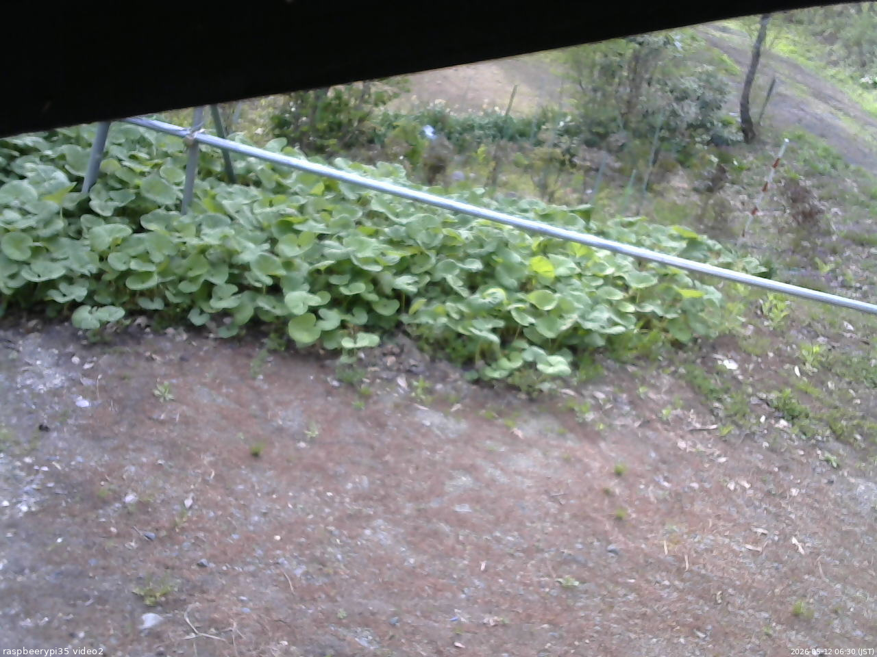 長野県菅平高原 ゆたか山荘 駐車場 2026/05/12 06:30